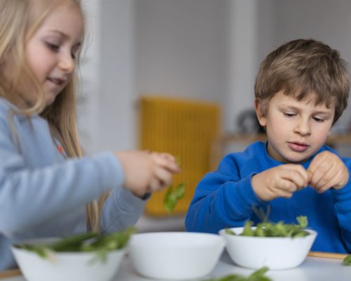 medium-shot-cute-kids-with-food-table